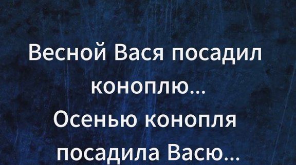 Весной Вася посадил коноплю Осенью конопля посадила Васю