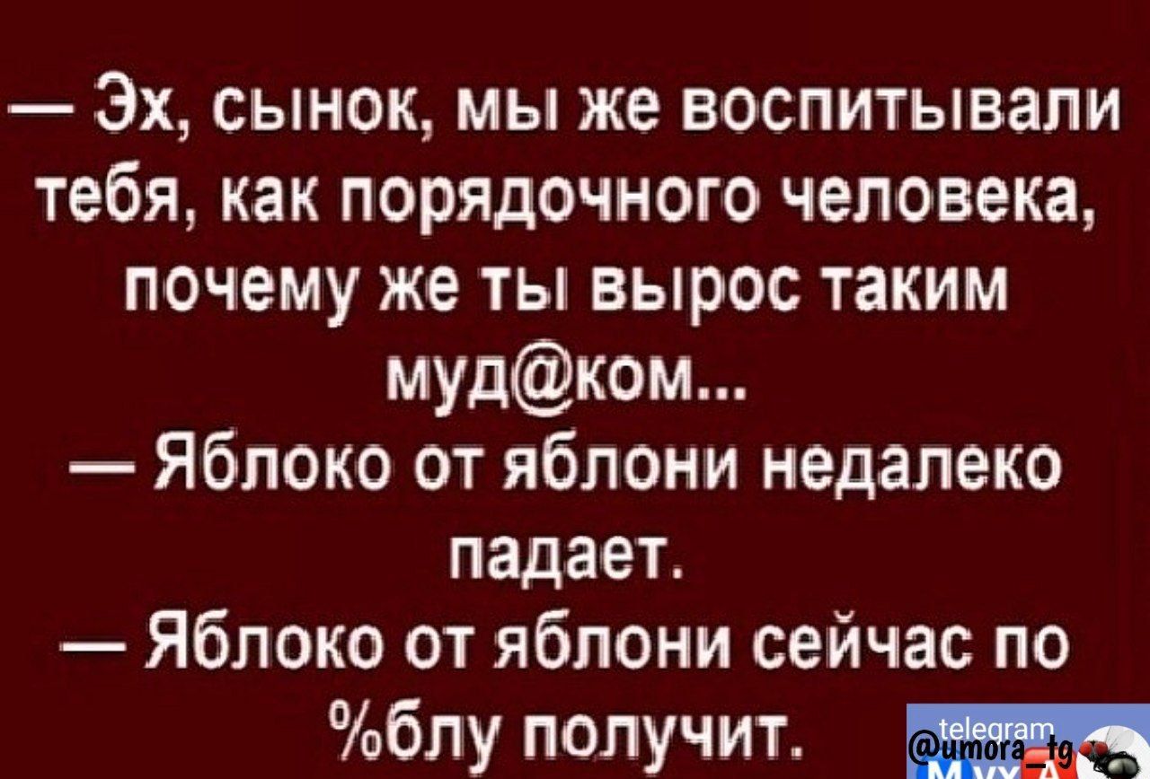 Эх сынок мы же воспитывали тебя как порядочного человека почему же ты вырос таким мудком Яблоко от яблони недалеко падает Яблоко от яблони сейчас по блу получит