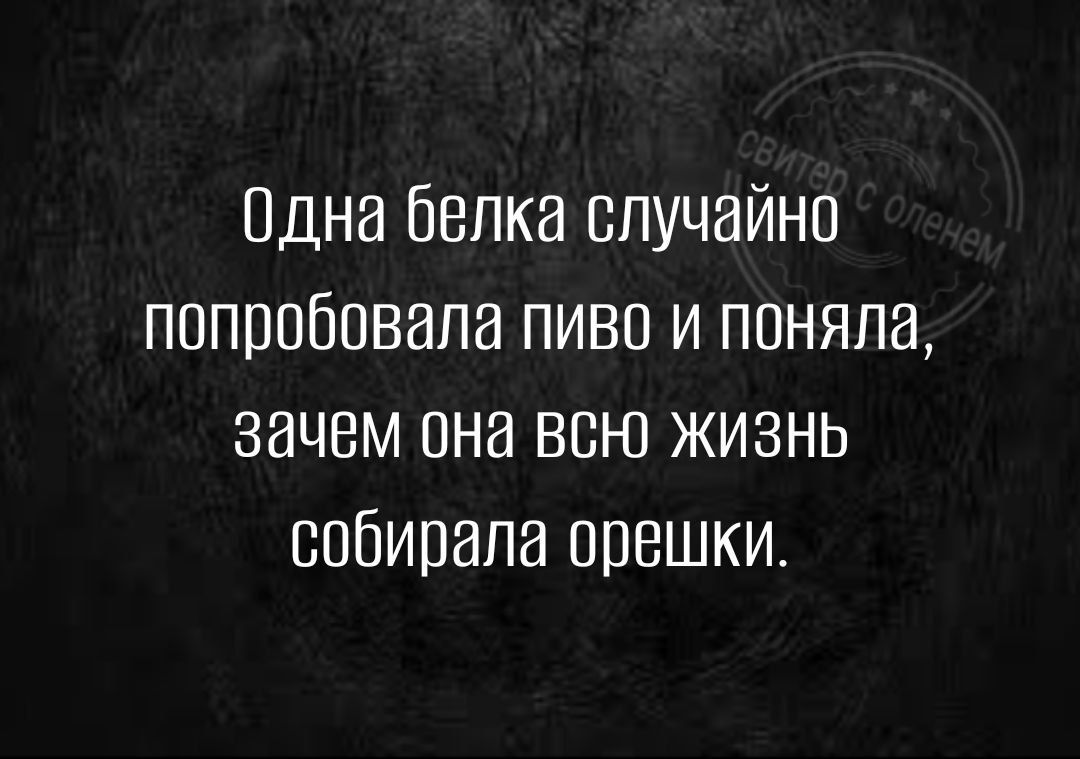 Одна белка случайно попробовала пиво и поняла зачем она всю жизнь собирала орешки