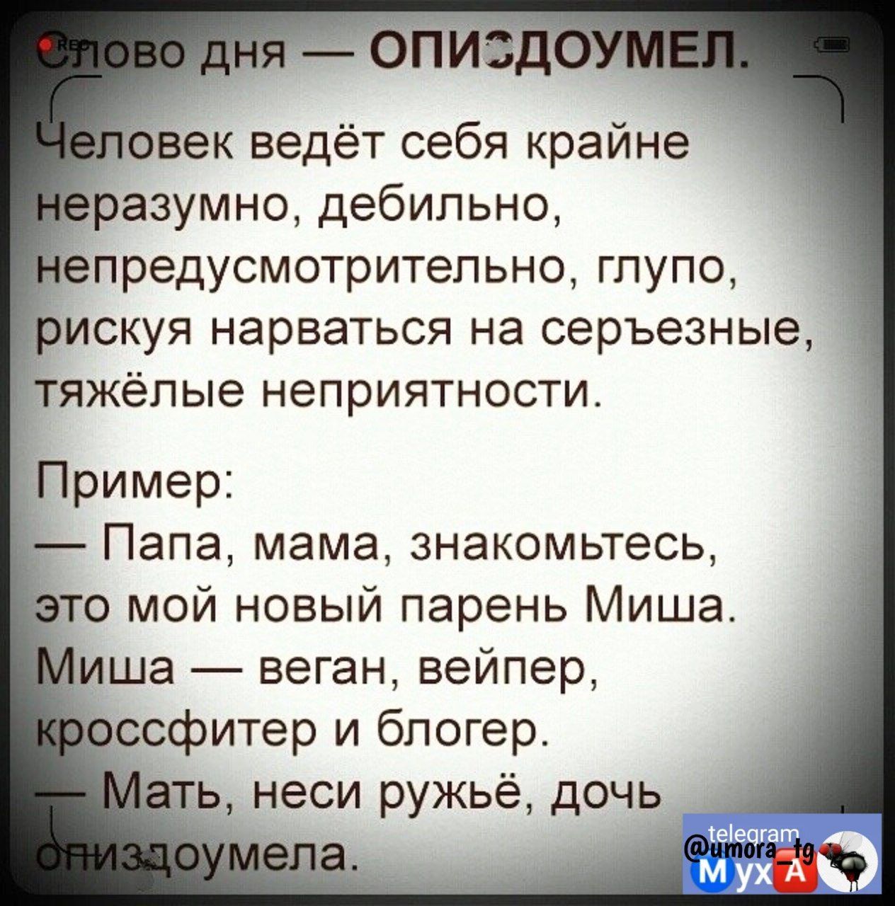 с век ведёт себя крайне разумно дебильно предусмотритепьно глупо _искуя нарваться на серьезные тяжёлые неприятности Пример Папа мама знакомьтесь 0 мой новый парень Миша ша веган вейпер ссфитер и блогер ть неси ружьё дочь