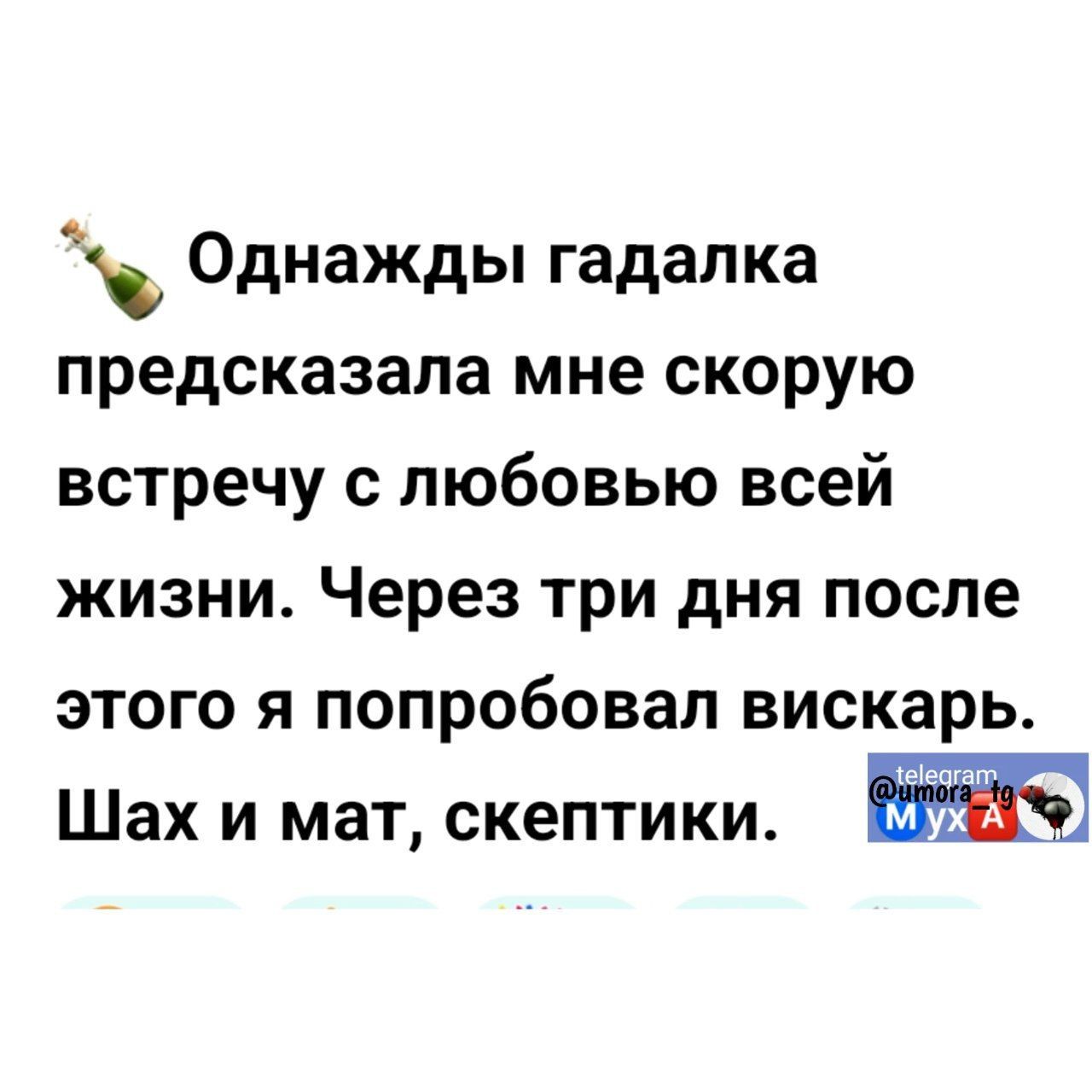 Однажды гадалка предсказала мне скорую встречу с любовью всей жизни Через три дня после этого я попробовал вискарь Шах и мат скептики