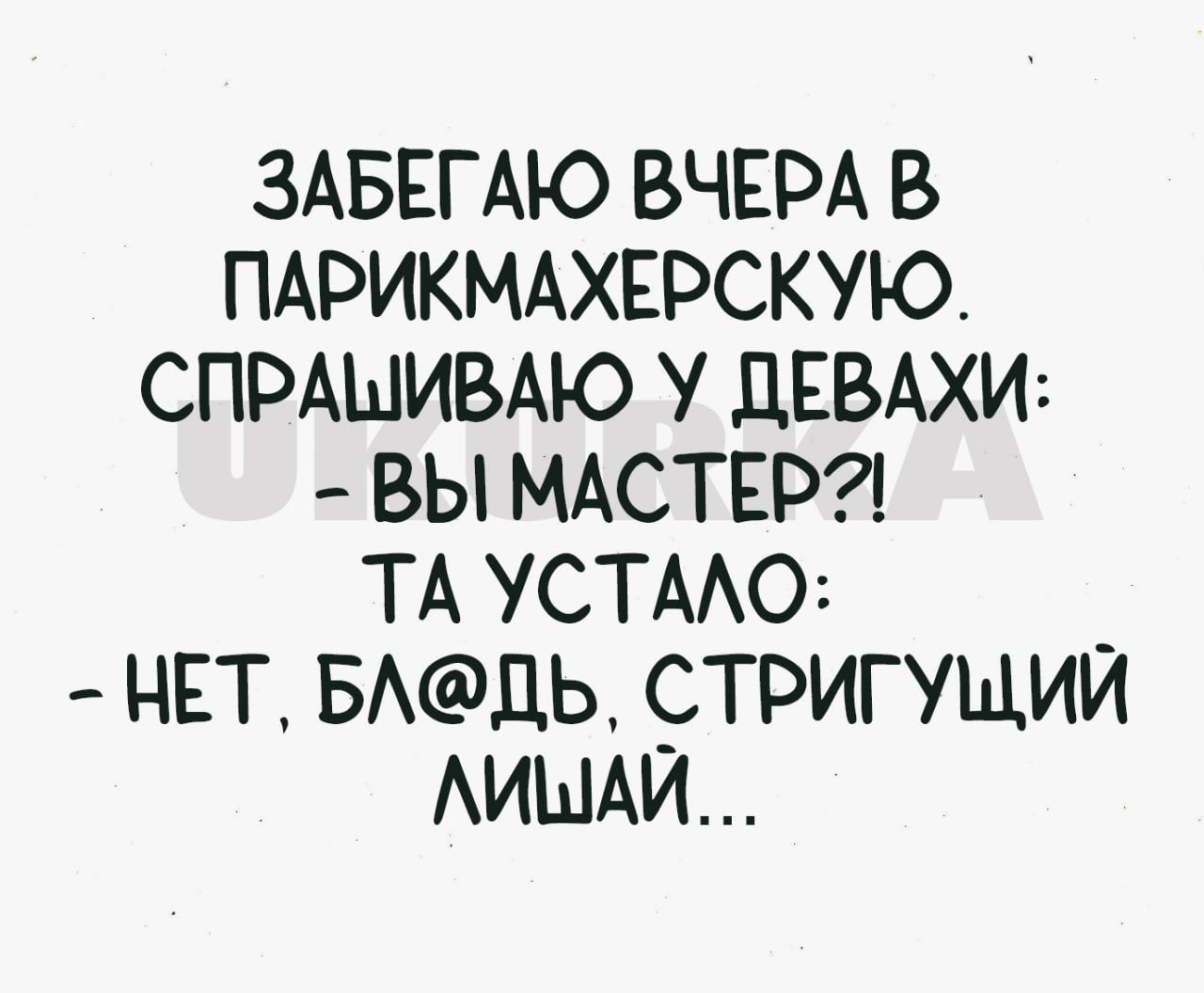 ЗАБЕГАЮ ВЧЕРА В ПАРИКМАХЕРСКУЮ СПРАШИВАЮ У дЕВАХИ ВЫ МАСТЕР ТА УСТААО _ НЕТ БАДЬ СТРИГУЩИИ АИШАЙ