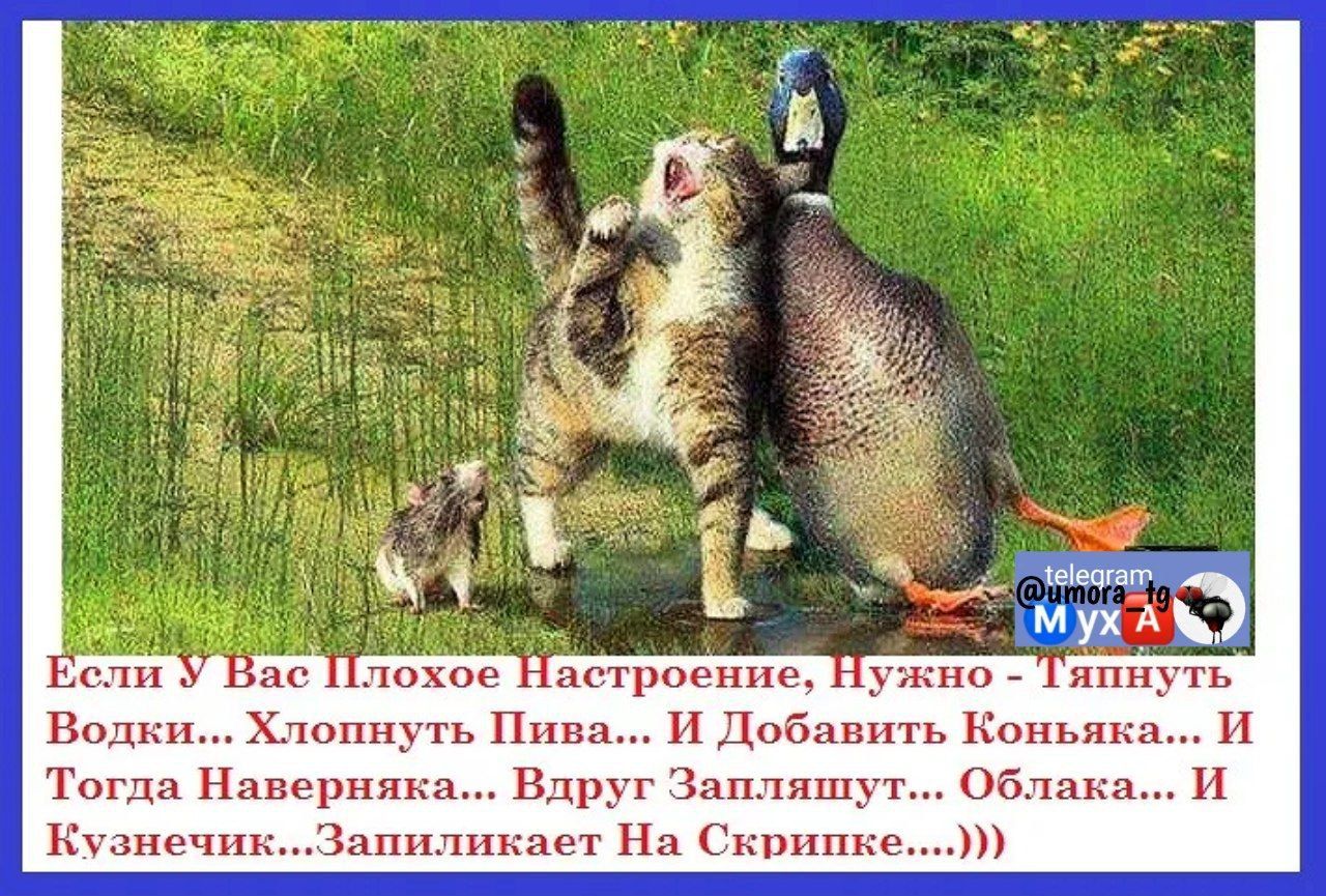 те трэш но япгпть Вот лопнргь п и Добавить Конники ТпгцпПшвернянА Вд1цг3ап1яш и Кгаиепп апнлпкаег Нд кнппне