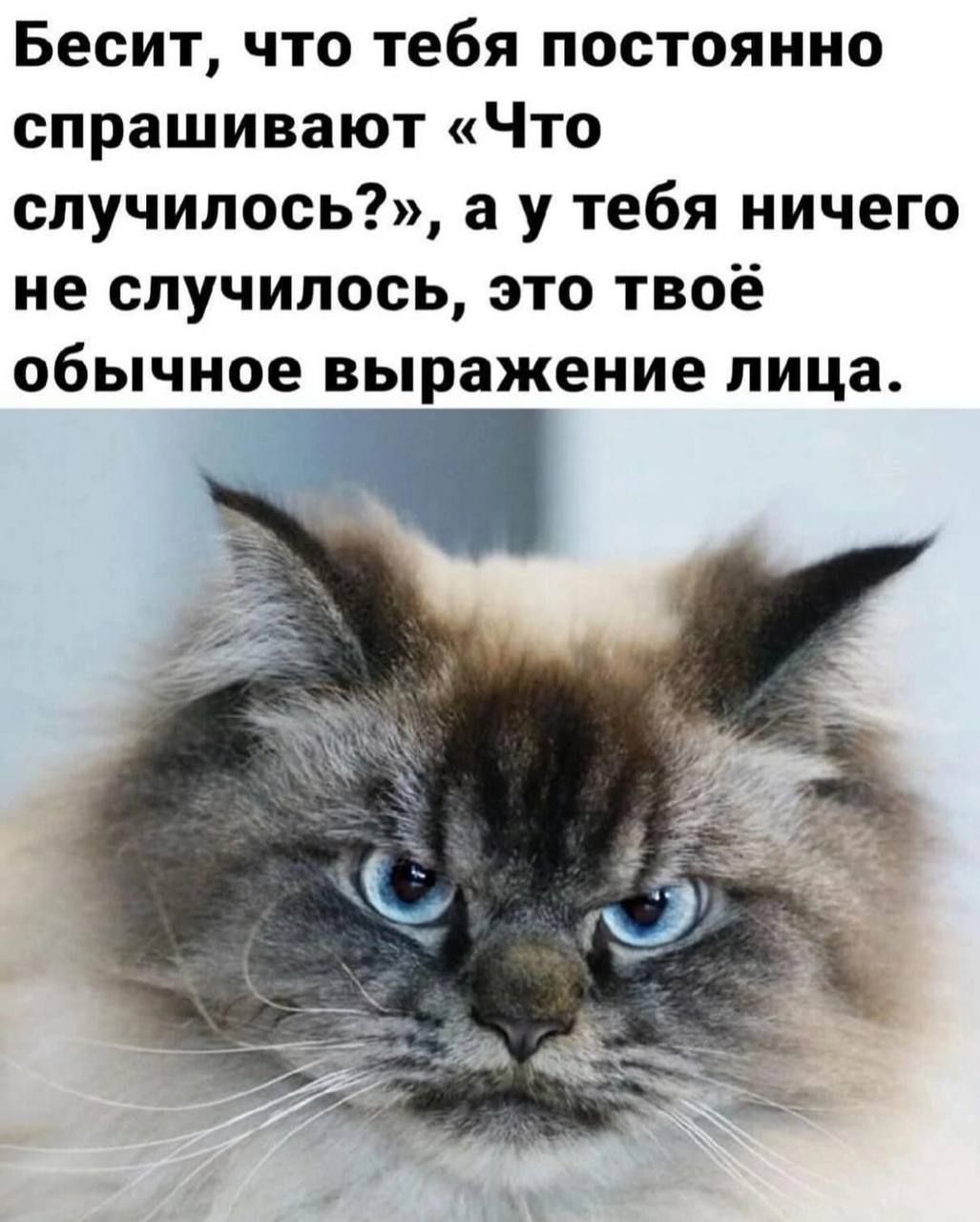 Бесит что тебя постоянно спрашивают Что случилось а у тебя ничего не случилось это твоё обычное выражение лица