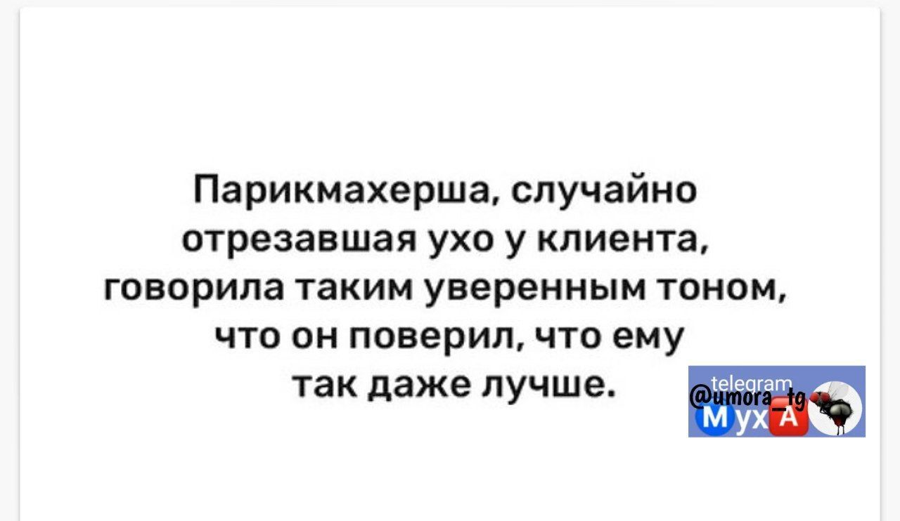 Парикмахерша случайно отрезавшая ухо у клиента говорила таким уверенным тоном что он поверил что ему так даже лучше лаа МухА