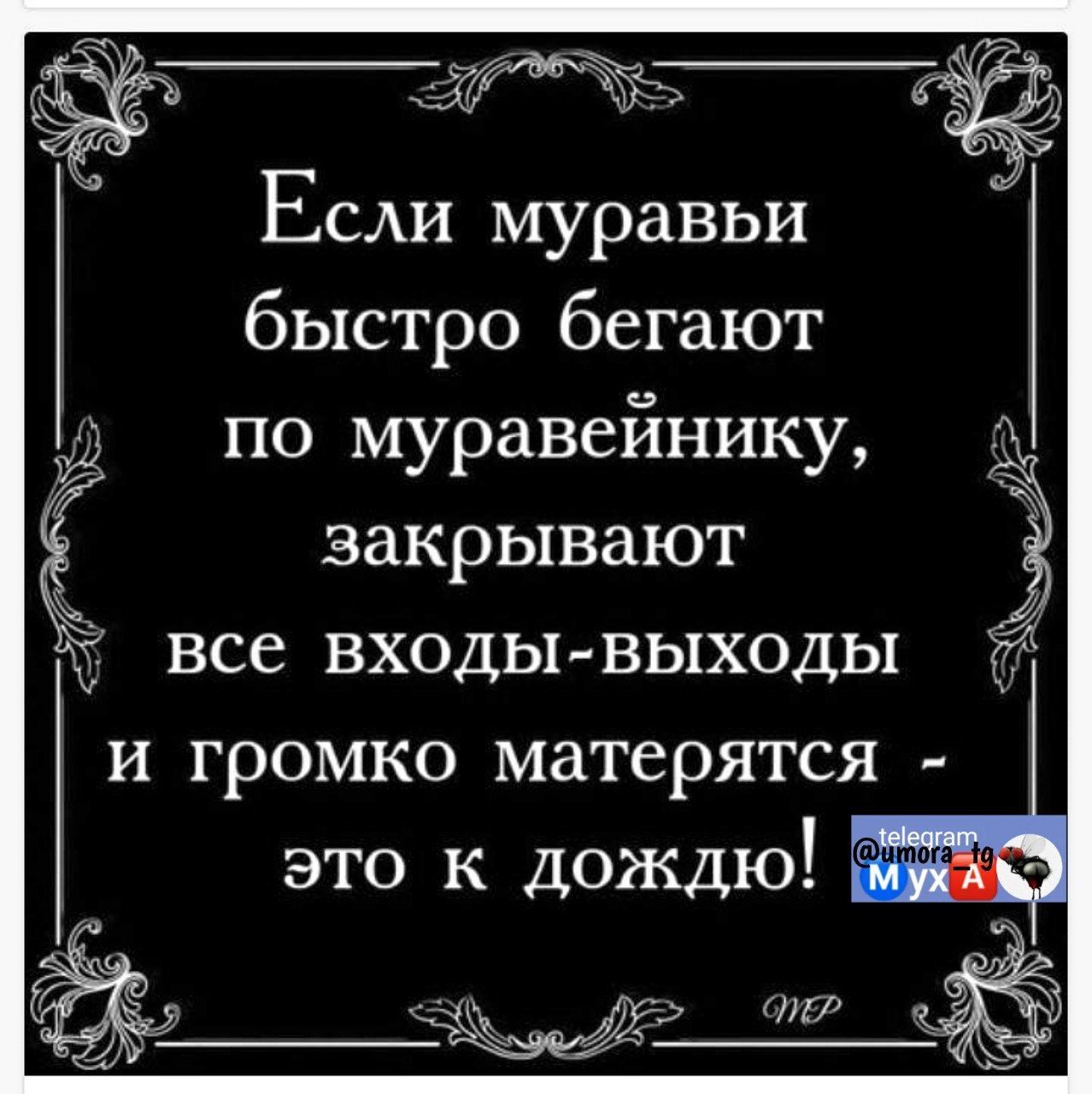 Если муравьи быстро бегают по муравейнику закрывают г все входы выходы и громко матерятся это к дождю 2 ле