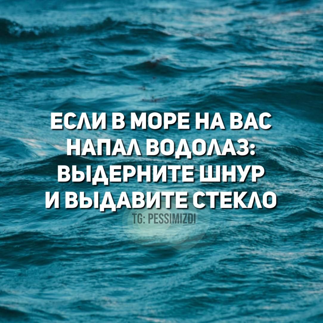 ЕСЛИ В МОРЕНА ВАС ЗНАПАЛВОДОЛАЗ ВЫДЕРНИТЕШНУР