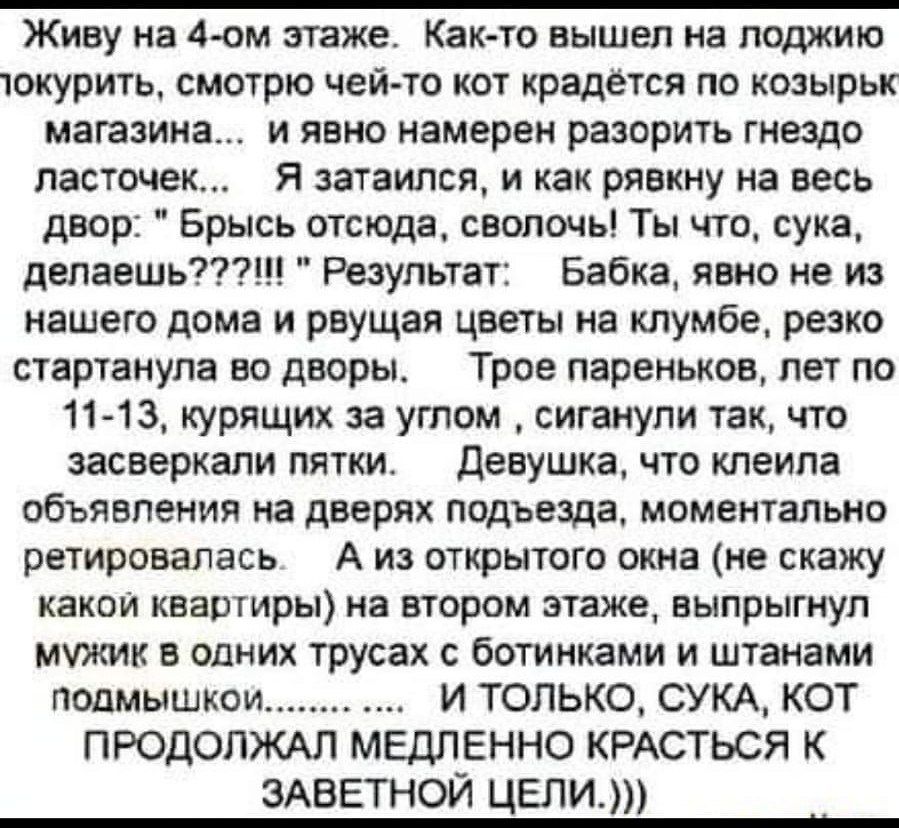 Живу на 4 ом этаже Как то вышел на лоджию 1окурить смотрю чей то кот крадётся по козырьк магазина и явно намерен разорить гнездо ласточек Я затаился и как рявкну на весь двор Брысь отсюда сволочь Ты что сука делаешь Результат Бабка явно не из нашего дома и рвущая цветы на клумбе резко стартанула во дворы Трое пареньков лет по 11 13 курящих за углом