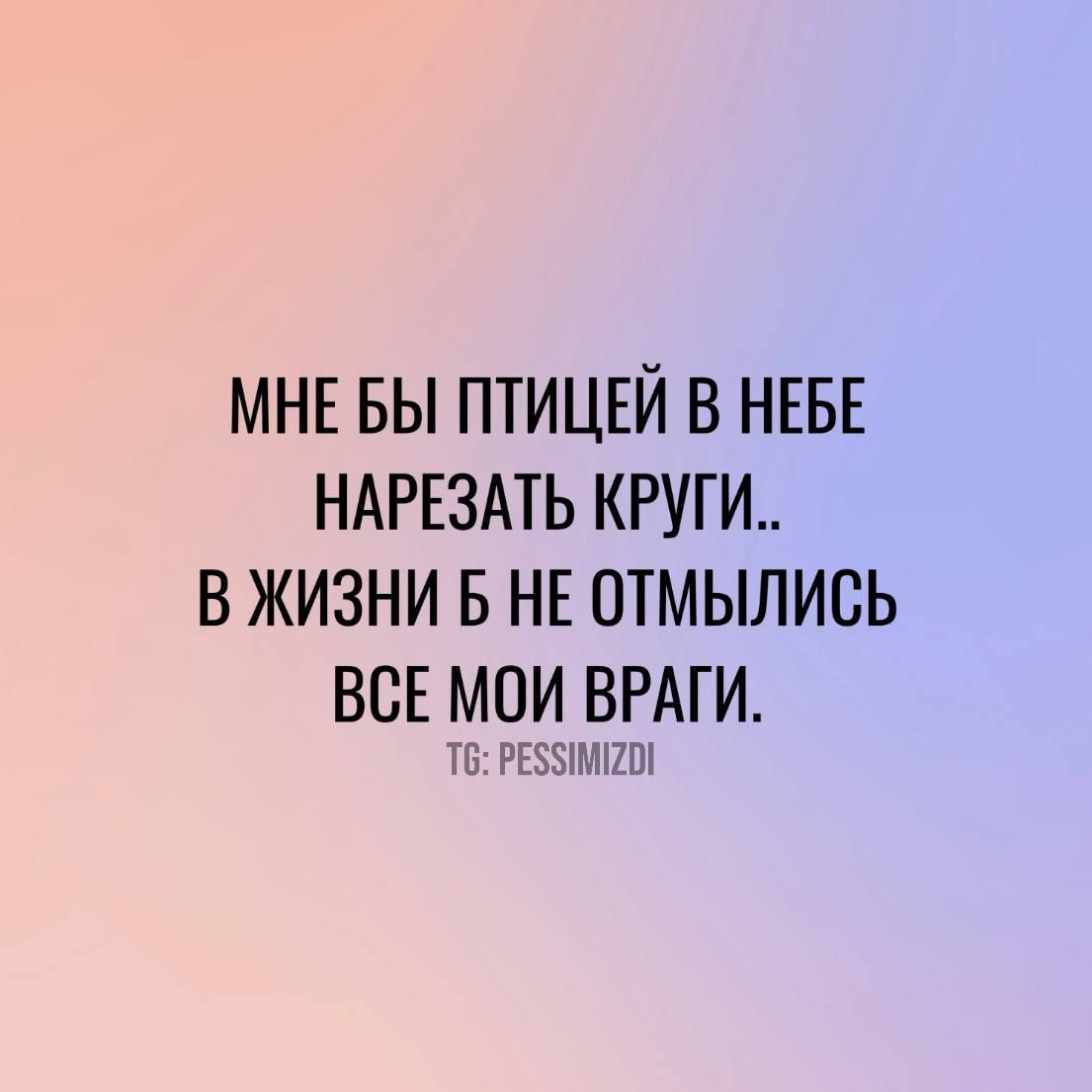 МНЕ БЫ ПТИЦЕЙ В НЕБЕ НАРЕЗАТЬ КРУГИ В ЖИЗНИ Б НЕ ОТМЫЛИСЬ ВСЕ МОИ ВРАГИ