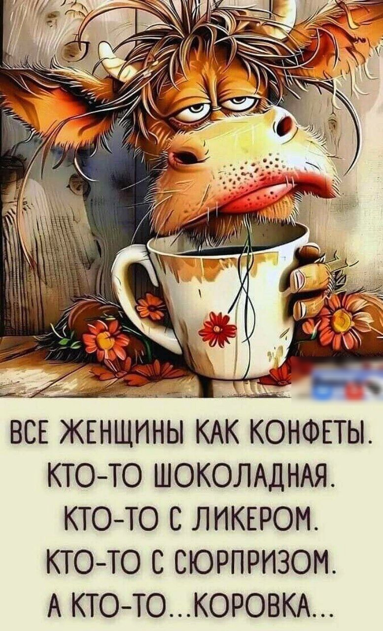 ЕР Кр сте ВСЕ ЖЕНЩИНЫ КАК КОНФЕТЫ КТО ТО ШОКОЛАДНАЯ КТО ТО С ЛИКЕРОМ КТО ТО С СЮРПРИЗОМ А КТО ТОКОРОВКА