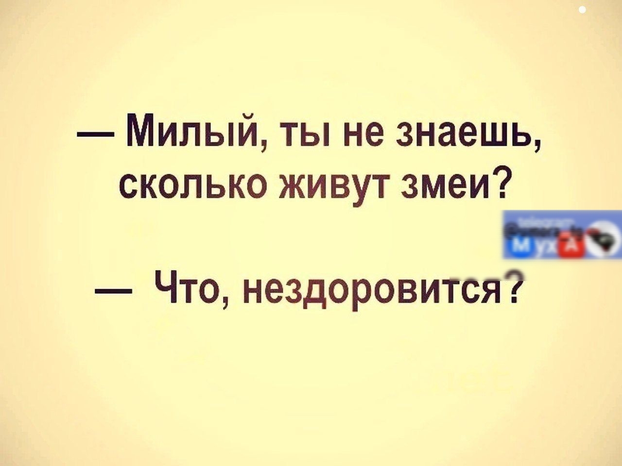 Милый ты не знаешь сколько живут змеи Что нездоровится