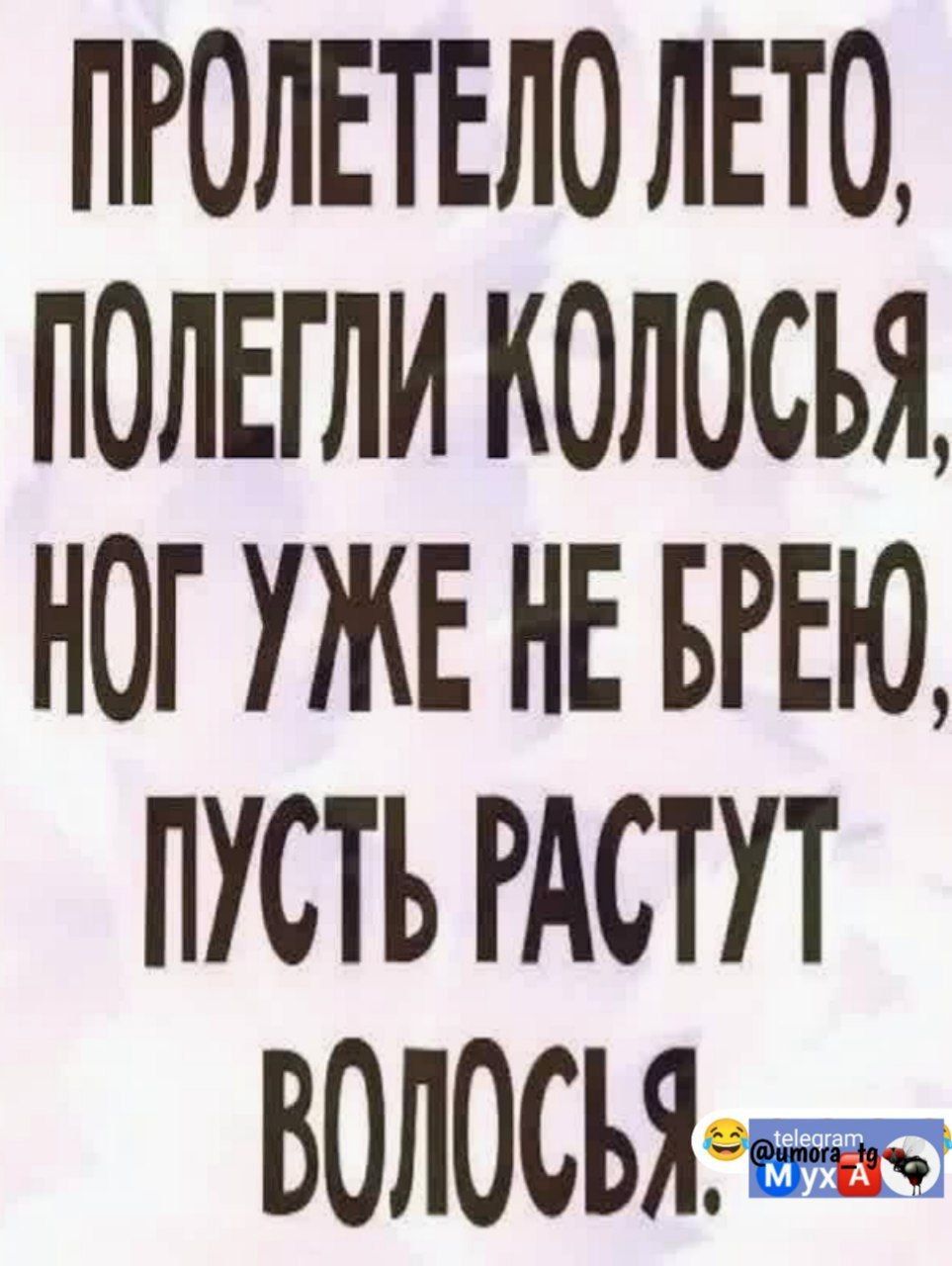 ПРОЛЕТЕЛО ЛЕТО ПОЛЕГЛИ КОЛОСЬЯ НГ УЖЕ НЕ БРЕЮ ПУСТЬ РАСТУТ ВОЛОСЪЯФ