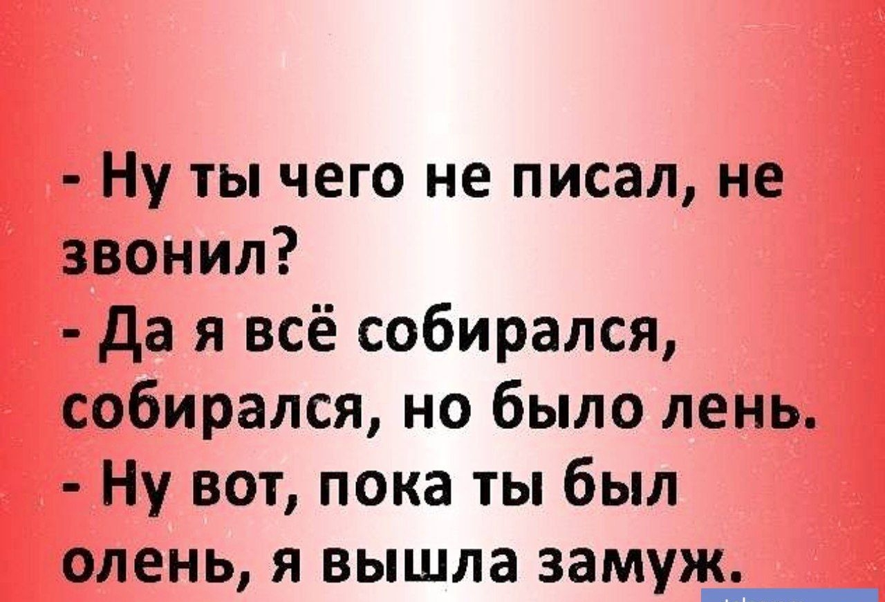 Ну ты чего не писал не ЗвоНиЛ Да я всё собирался собирался но было лень Ну вот пока ты был олень я вышла замуж