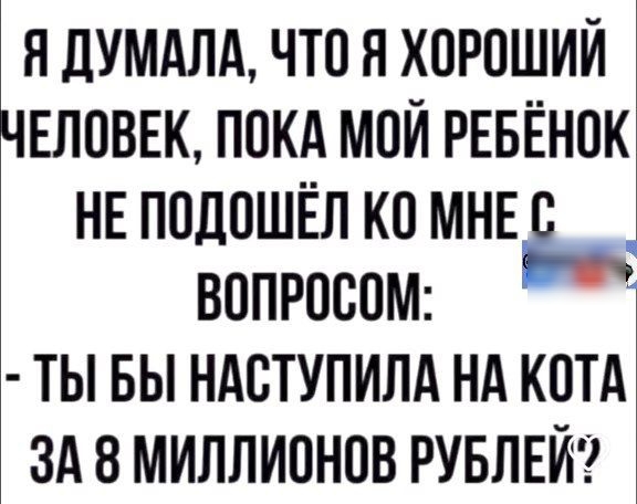 Я ДУМАЛА ЧТО Я ХОРОШИЙ ЧЕЛОВЕК ПОКА МОЙ РЕБЁНОК НЕ ПОДОШЁЛ КО МНЕ С ВопРОсом ТЫ БЫ НАСТУПИЛА НА КОТА ЗА 8 МИЛЛИОНОВ РУБЛЕЙ