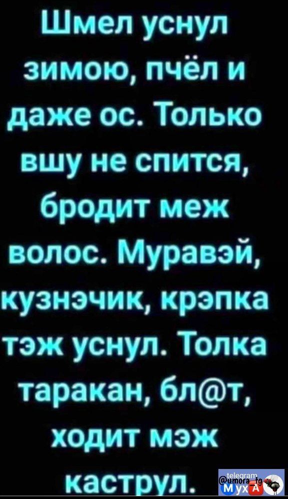 Шмел уснул зимою пчёл и даже ос Только вшу не спится бродит меж волос Муравэй кузнэчик крэпка тэж уснул Толка таракан блт ходит мэж каструл