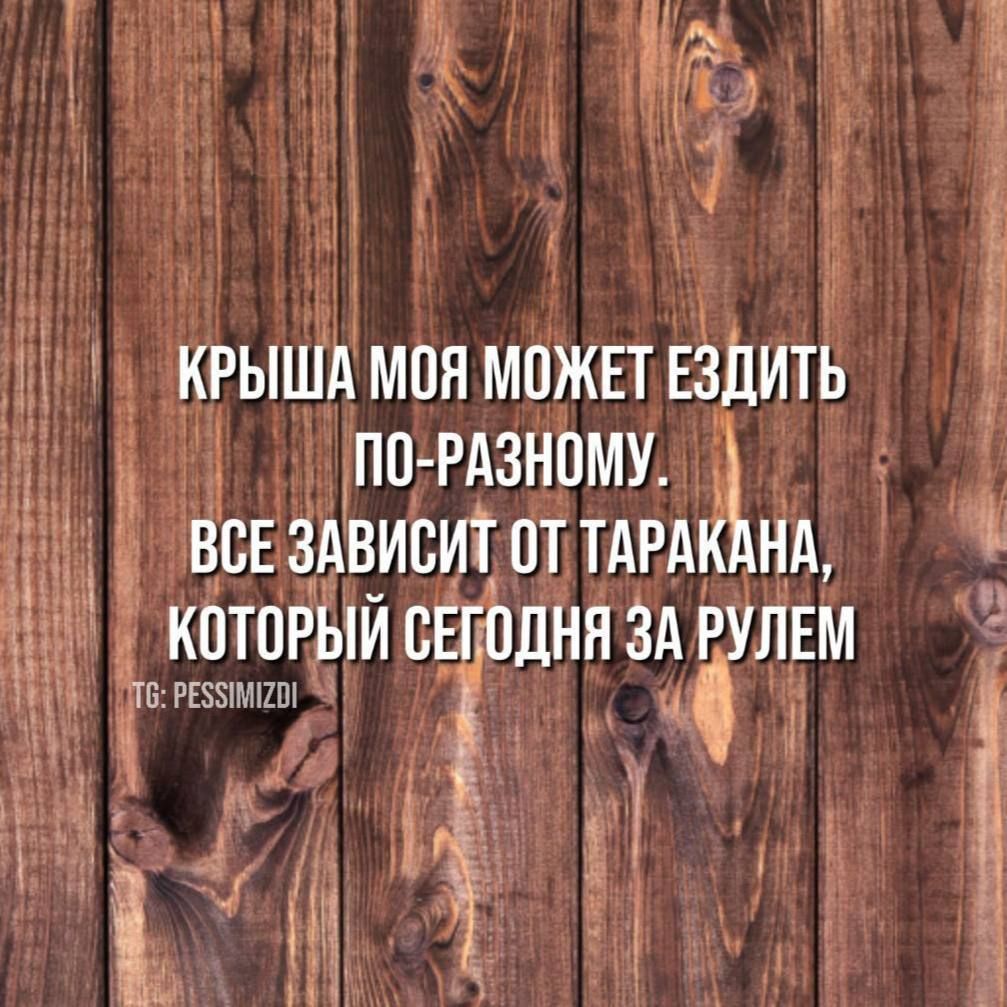 КРЫША МОЯ МОЖЕТ ЕЗДИТЬ ПО РАЗНОМУ Ъ ВСЕ ЗАВИВИТ ОЛ ТАРАКАНА КОТОРЫЙ СЕТОДНЯ ЗА РУЛЕМ В т РЕЗ5МИО