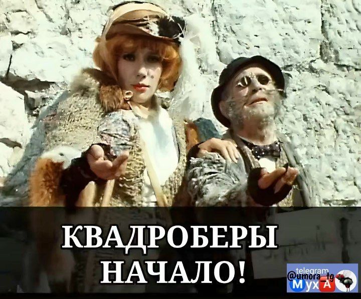 КВАДРОБЕРЫ НАЧАЛО