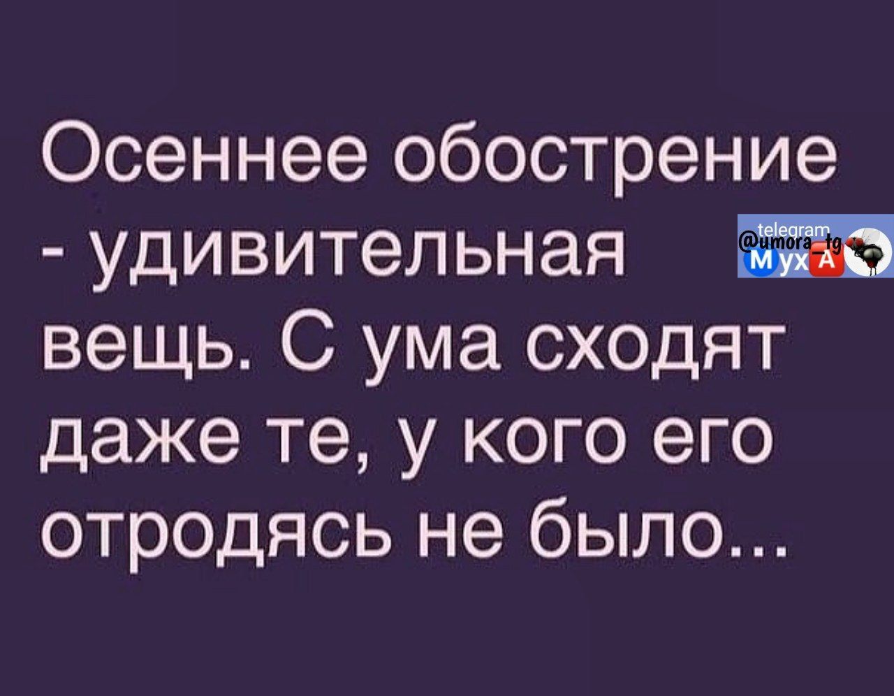 Осеннее обострение удивительная вещь С ума сходят даже те у кого его отродясь не было