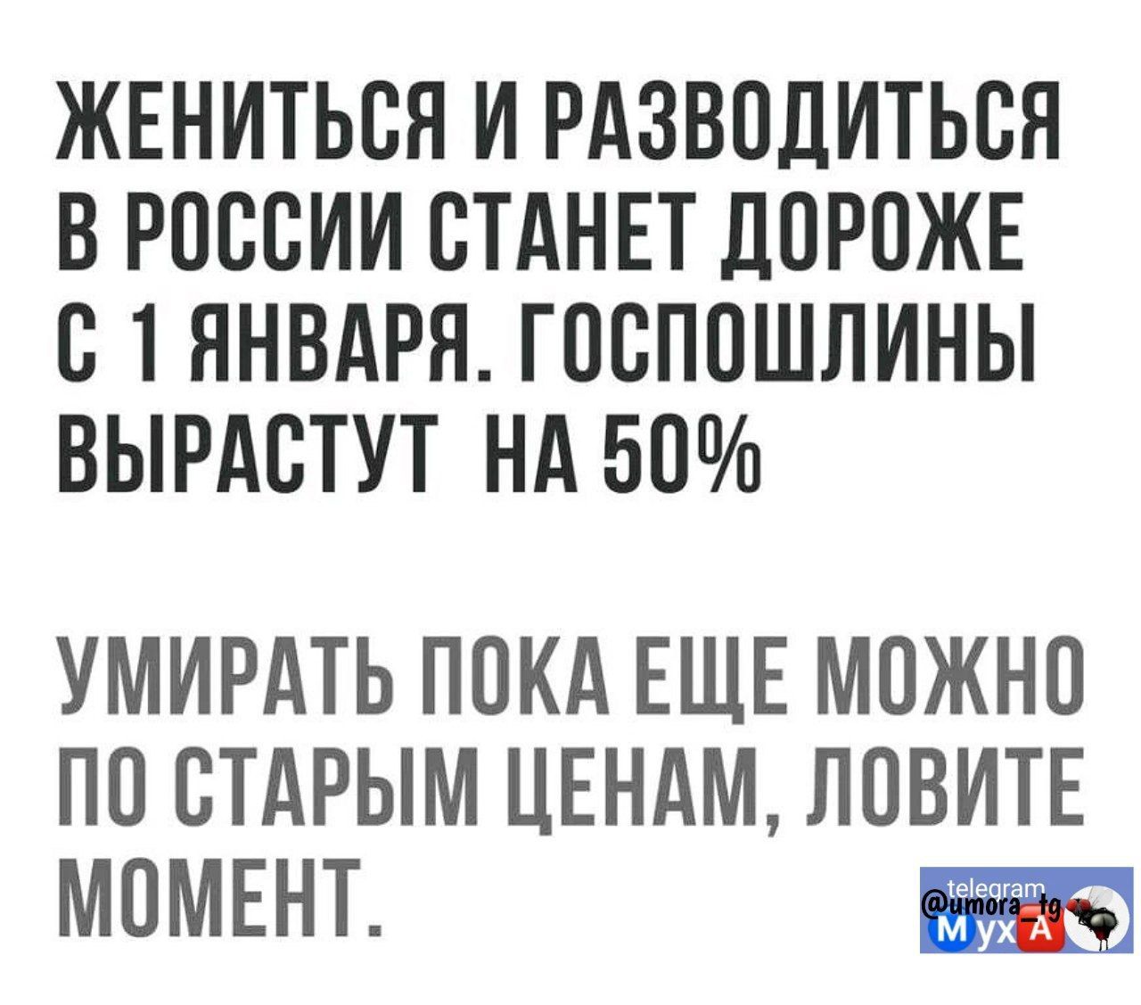 ЖЕНИТЬСЯ И РАЗВОДИТЬСЯ ВРОССИИ СТАНЕТ ДОРОЖЕ С ТЯНВАРЯ ГОСПОШЛИНЫ ВЫРАСТУТ НА 50 УМИРАТЬ ПОКА ЕЩЕ МОЖНО ПО СТАРЫМ ЦЕНАМ ЛПВИТЕ МОМЕНТ 3ч