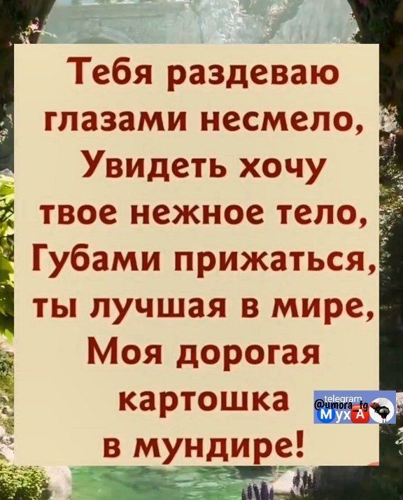 Тебя раздеваю глазами несмело Увидеть хочу й твое нежное тело Губами прижаться ты лучшая в мире Моя дорогая картошка ъ в мундире і онилестоточиЕ м ы а