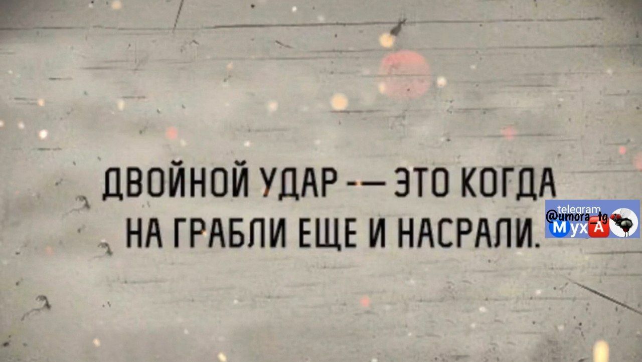 ДВОЙНОЙ УДАР ЭТО КОГДА НА ГРАБЛИ ЕЩЕ И НАСРАЛИ 772 а