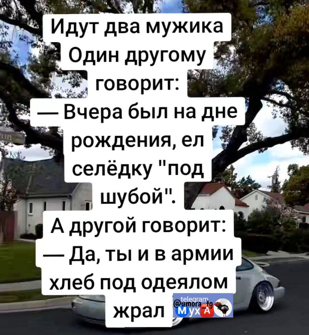 рождения ел селёдку под я А другой говорит Ё Да ты и в армии хлебпод одеялом