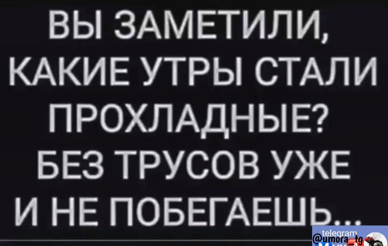 ВЫ ЗАМЕТИЛИ КАКИЕ УТРЫ СТАЛИ ПРОХЛАДНЫЕ БЕЗ ТРУСОВ УЖЕ И НЕ ПОБЕГАЕШЕШ_