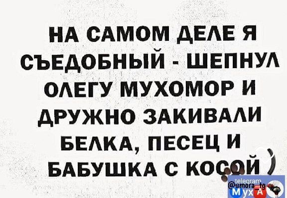 НА САМОМ ДЕЛЕ Я СЪЕДОБНЫЙ ШЕПНУЛ ОЛЕГУ МУХОМОР И ДРУЖНО ЗАКИВАЛИ БЕЛКА ПЕСЕЦИ БАБУШКА С ко