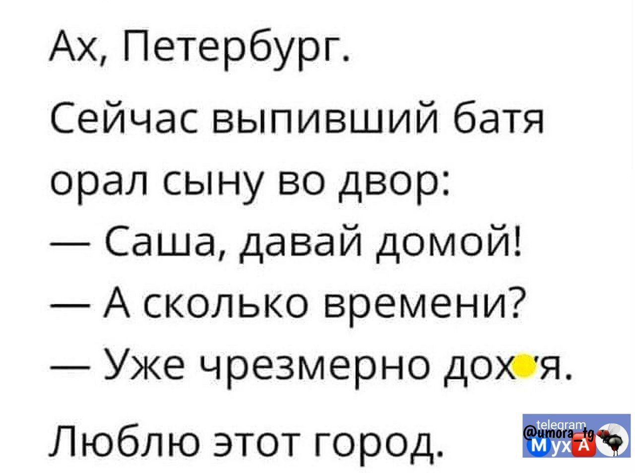 Ах Петербург Сейчас выпивший батя орал сыну во двор Саша давай домой А сколько времени Уже чрезмерно дохя Люблю этот город