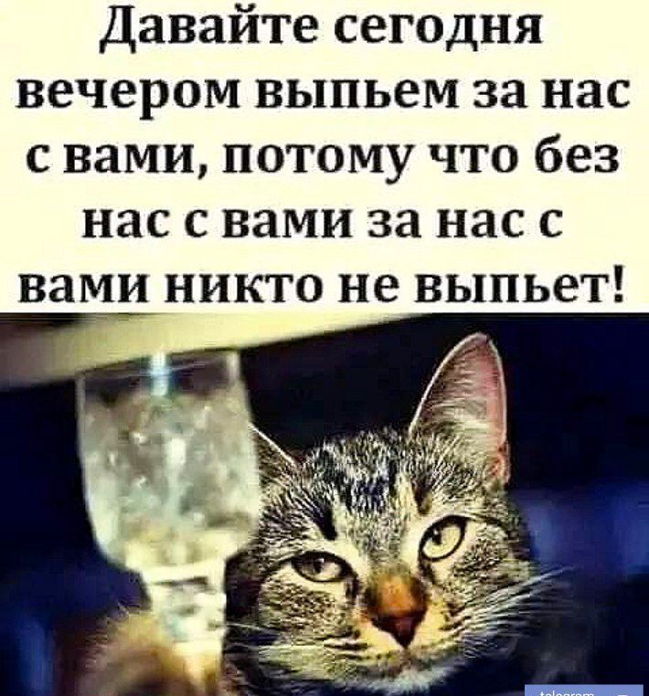 Давайте сегодня вечером выпьем за нас свами потому что без нас с вами за нас с вами никто не выпьет д