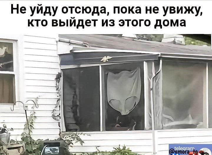 Не уйду отсюда пока не увижу кто выйдет из этого дома