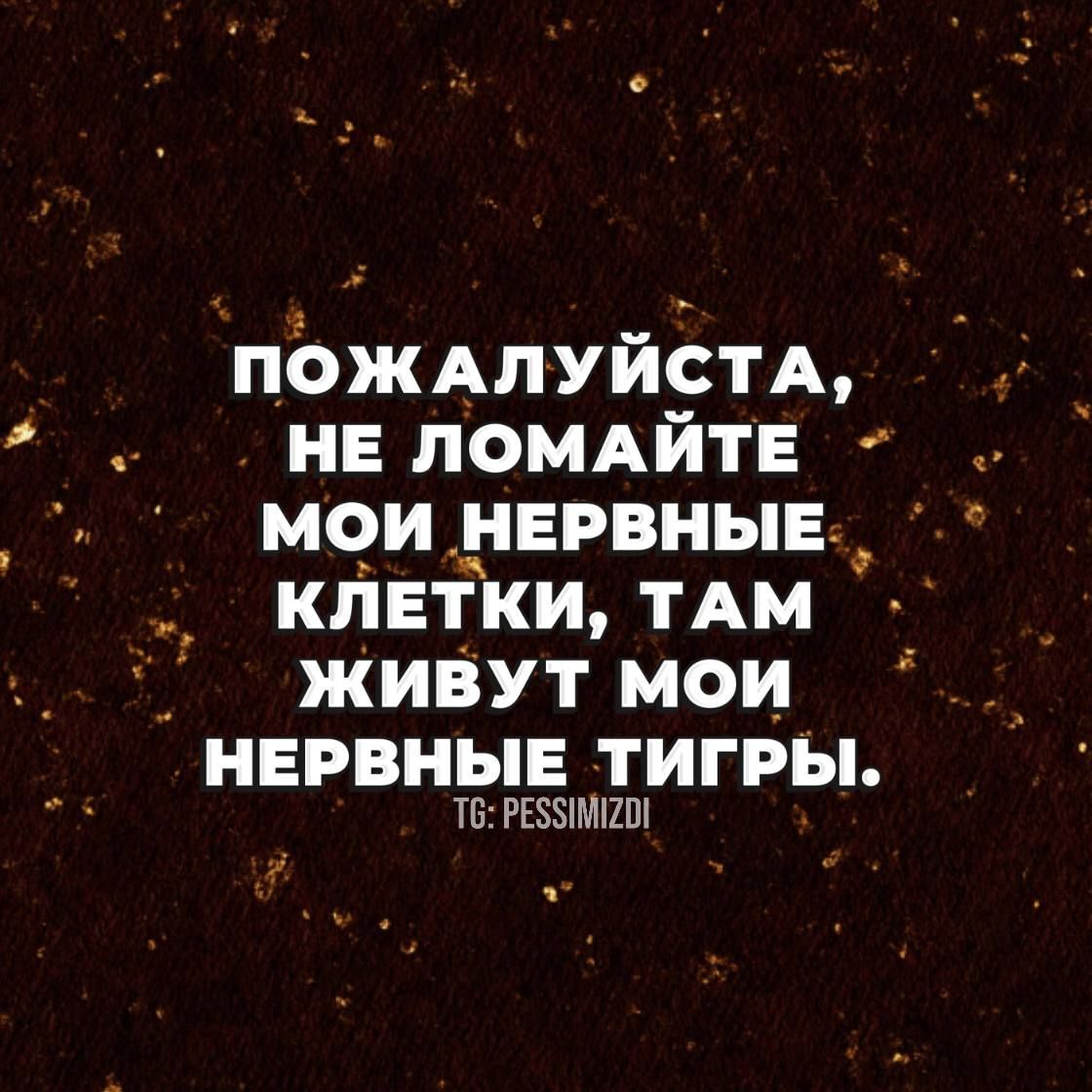 ПОЖАЛУЙСТА НЕ ЛОМАЙТЕ МОИ НЕРВНЫЕ клвтки ТАМ ЖИВУТ МОИ НЕРВНЫЕ ТИГРЫ Т6 РЕС5М2О