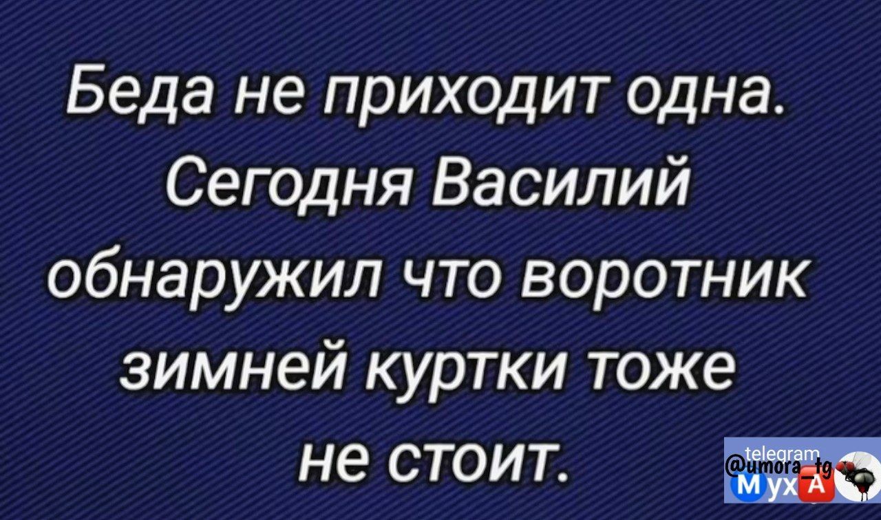 Беда не приходит одна Сегодня Василий обнаружил что воротник зимней куртки тоже не стоит м