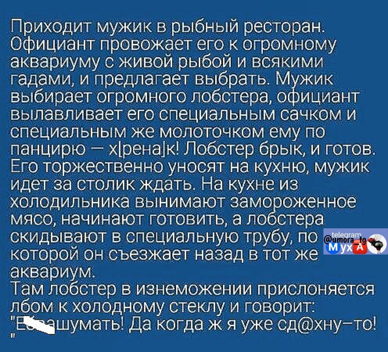 Приходит мужик в рыбный ресторан Официант провожает его к огромному аквариуму с живой рыбой и всякими гадами и предлагает выбрать Мужик выбирает огромного лобстера официант вылавливает его специальным сачком и специальным же молоточком ему по панцирю хренак Лобстер брык и готов Его торжественно уносят на кухню мужик идет за столик ждать На кухне из