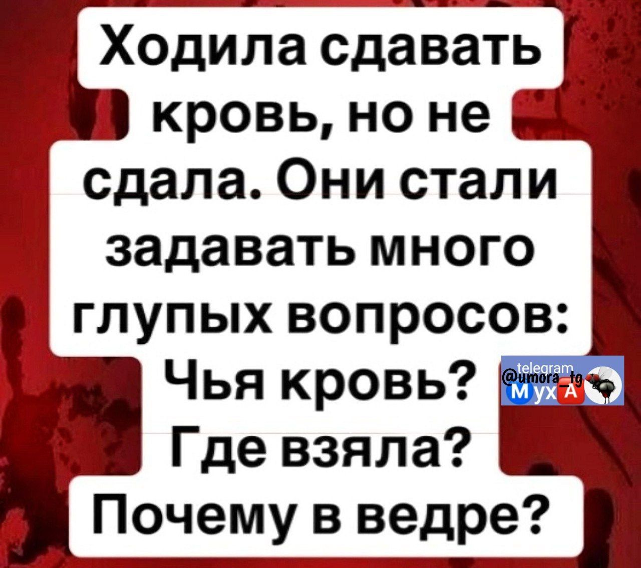 Ходила сдавать кровь но не сдала Они стали задавать много глупых вопросов Чья кровь Где взяла Почему в ведре