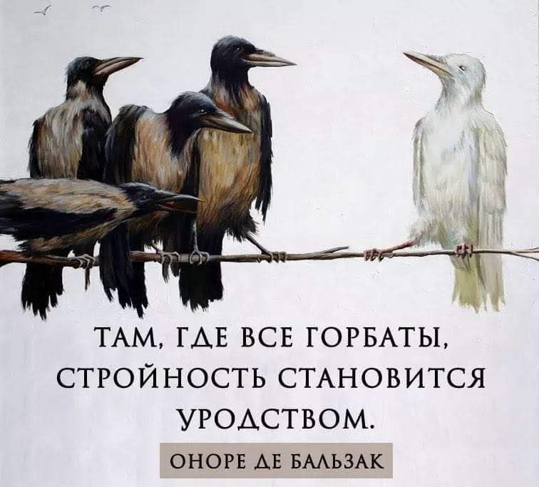 ТАМ ГДЕ ВСЕ ГОРБАТЫ СТРОЙНОСТЬ СТАНОВИТСЯ УРОДСТВОМ ОНОРЕ ДЕ БАЛЬЗАК