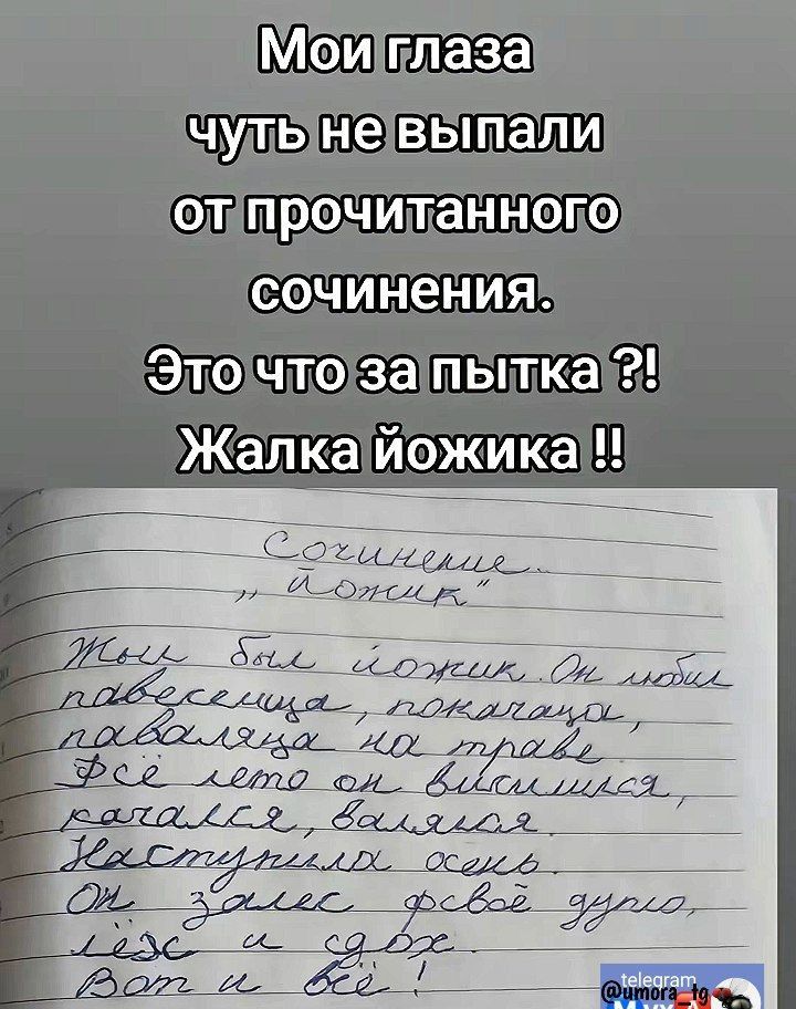 чулыневытпали отпрочитанного сочинения Эточтозатпытка Жалкайожика