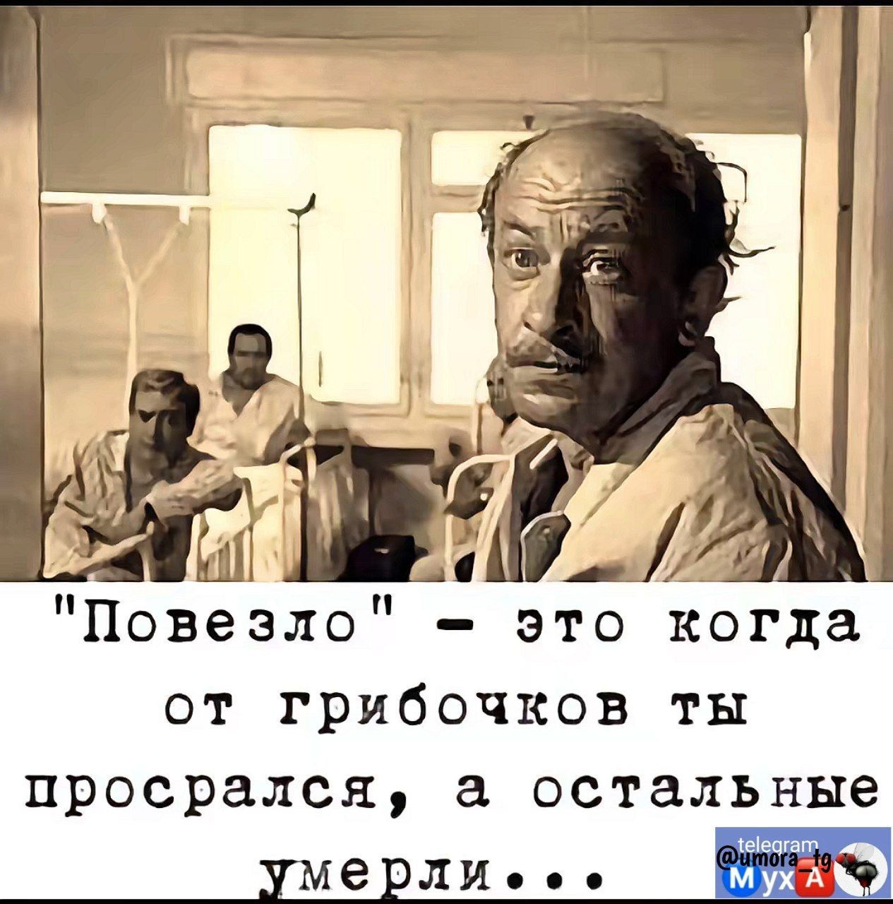 Повезло это когда от грибочков ты просрался а остальные тмерлиеее И