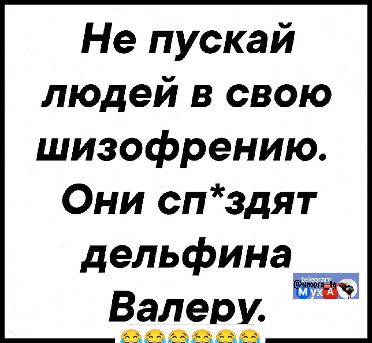 Не пускай людей в свою шизофрению Они спздят дельфина Валеру