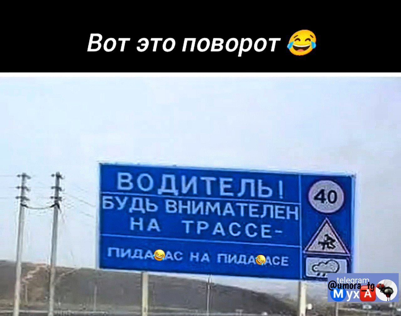 Вот это поворот