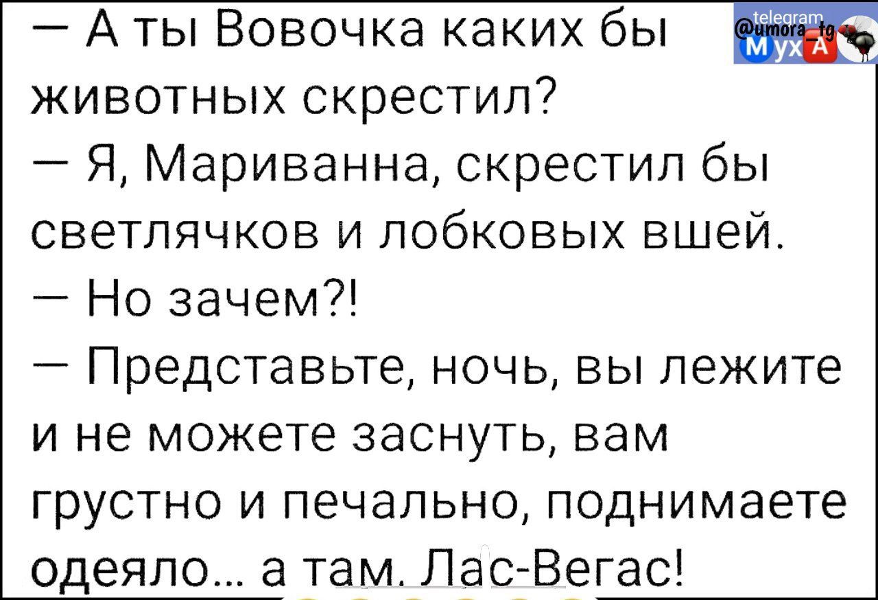 Аты Вовочка каких бы животных скрестил Я Мариванна скрестил бы светлячков и лобковых вшей Но зачем Представьте ночь вы лежите и не можете заснуть вам грустно и печально поднимаете одеяло а там Лас Вегас