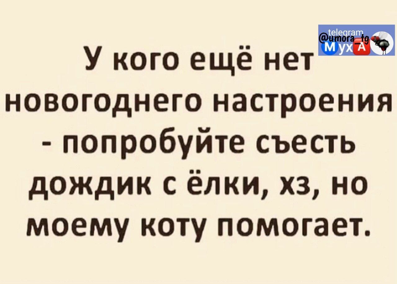 У кого ещё нет новогоднего настроения попробуйте съесть дождик с ёлки хз но моему коту помогает