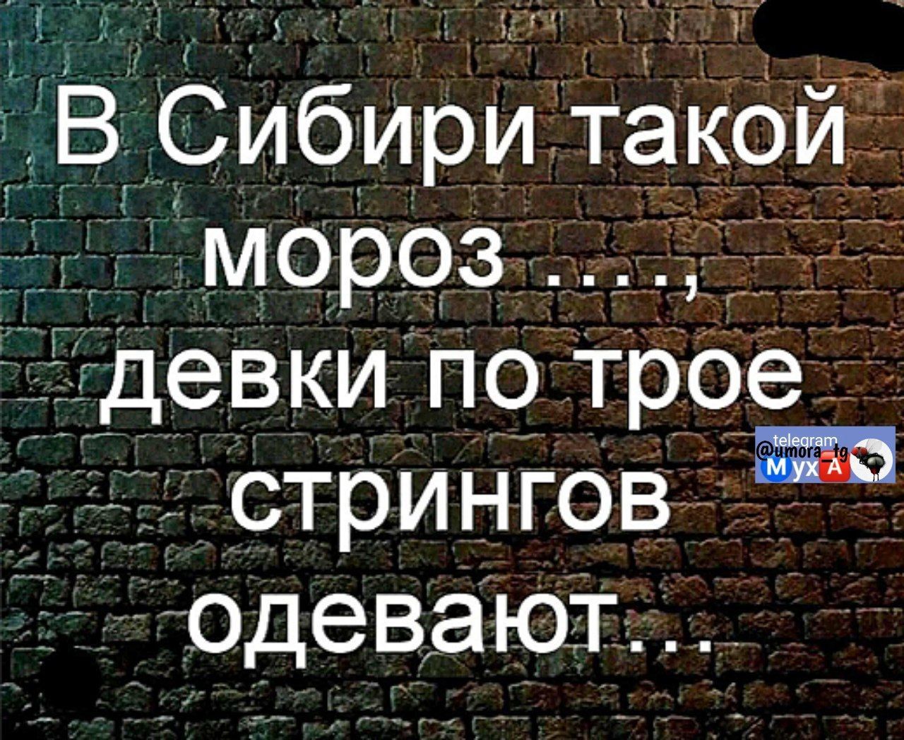 В Сибири такои И ОМОрее девки по трое_ стрингов одевают