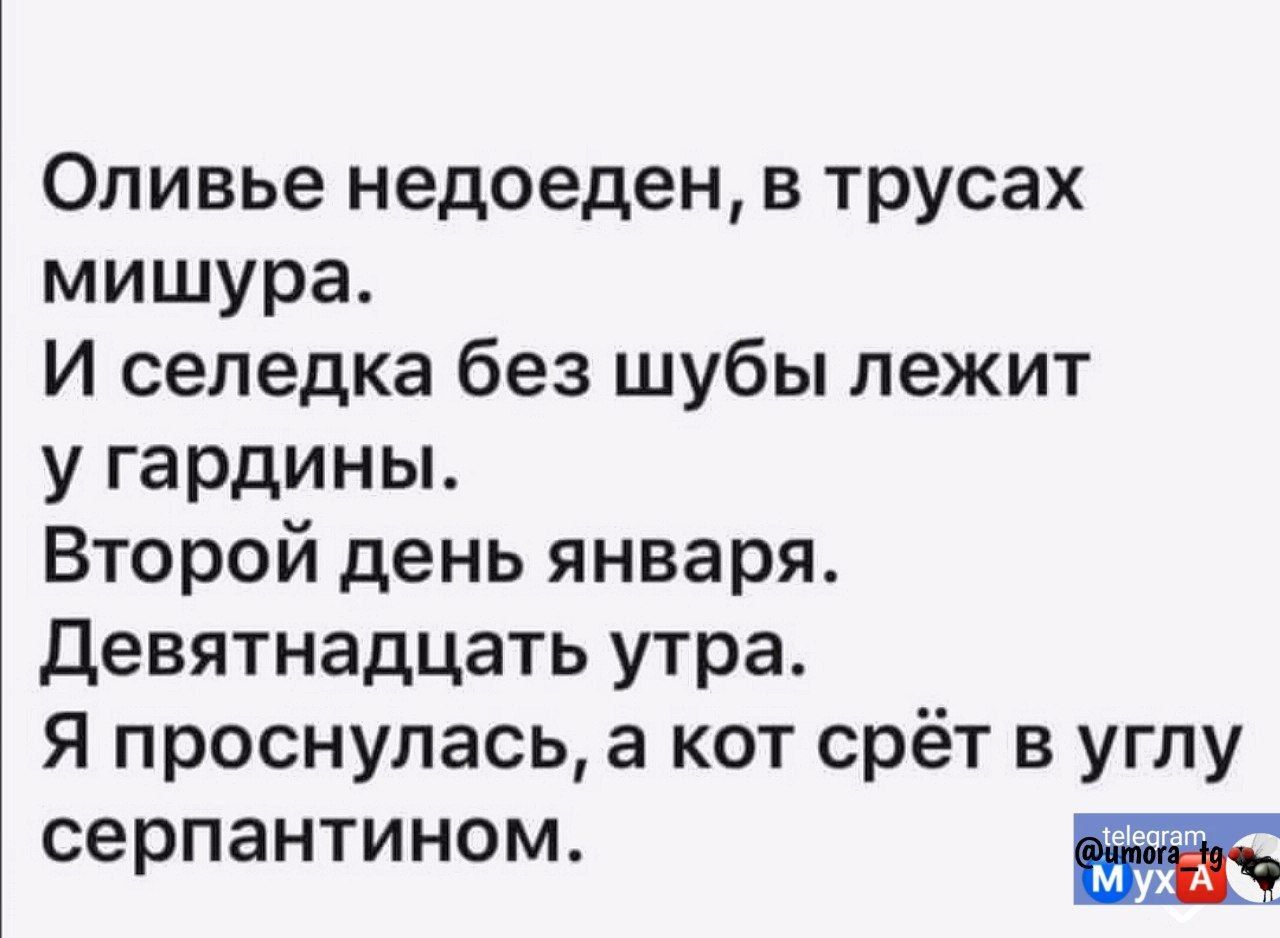 Оливье недоеден в трусах мишура И селедка без шубы лежит у гардины Второй день января Девятнадцать утра Я проснулась а кот срёт в углу серпантином тч