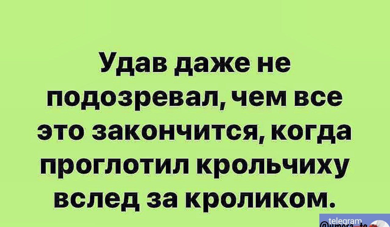 Удав даже не подозревал чем все это закончится когда проглотил крольчиху вслед за кроликом Г лейеокат оь