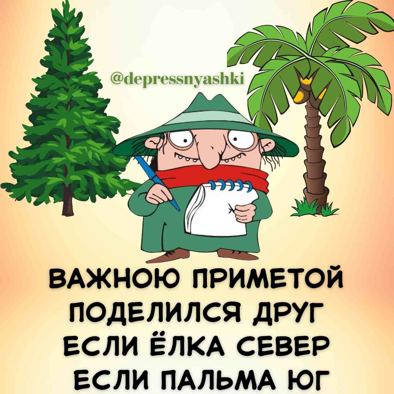 ВАЖНОЮ ПРИМЕТОЙ ПОДЕЛИЛСЯ ДРУГ ЕСЛИ ЁЛКА СЕВЕР ЕСЛИ ПАЛЬМА ЮГ