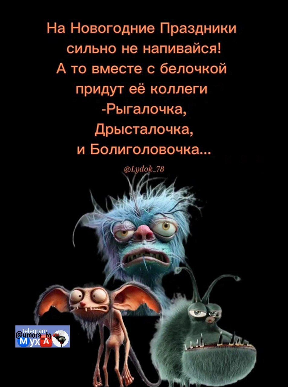 На Новогодние Праздники сильно не напивайся А то вместе с белочкой придут её коллеги Рыгалочка Дрысталочка и Болиголовочка