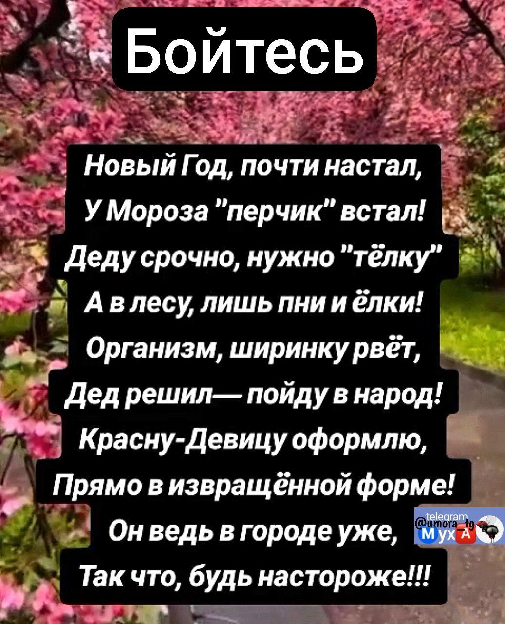 сае оее АН КЕ е Новый Год почти настал е Р я а УМороза перчик встал Ё _ Деду срочно нужно тёлку ЯЕ Авлесу лишь пнии ёлки Организм ширинку рвёт т Дед решил пойду в народ 7 Красну Девицу оформлю Прямо в извращённой форме Онведь в городе уже р Так что будь настороже лят ъщдЕняЕ Г 2г СВ х