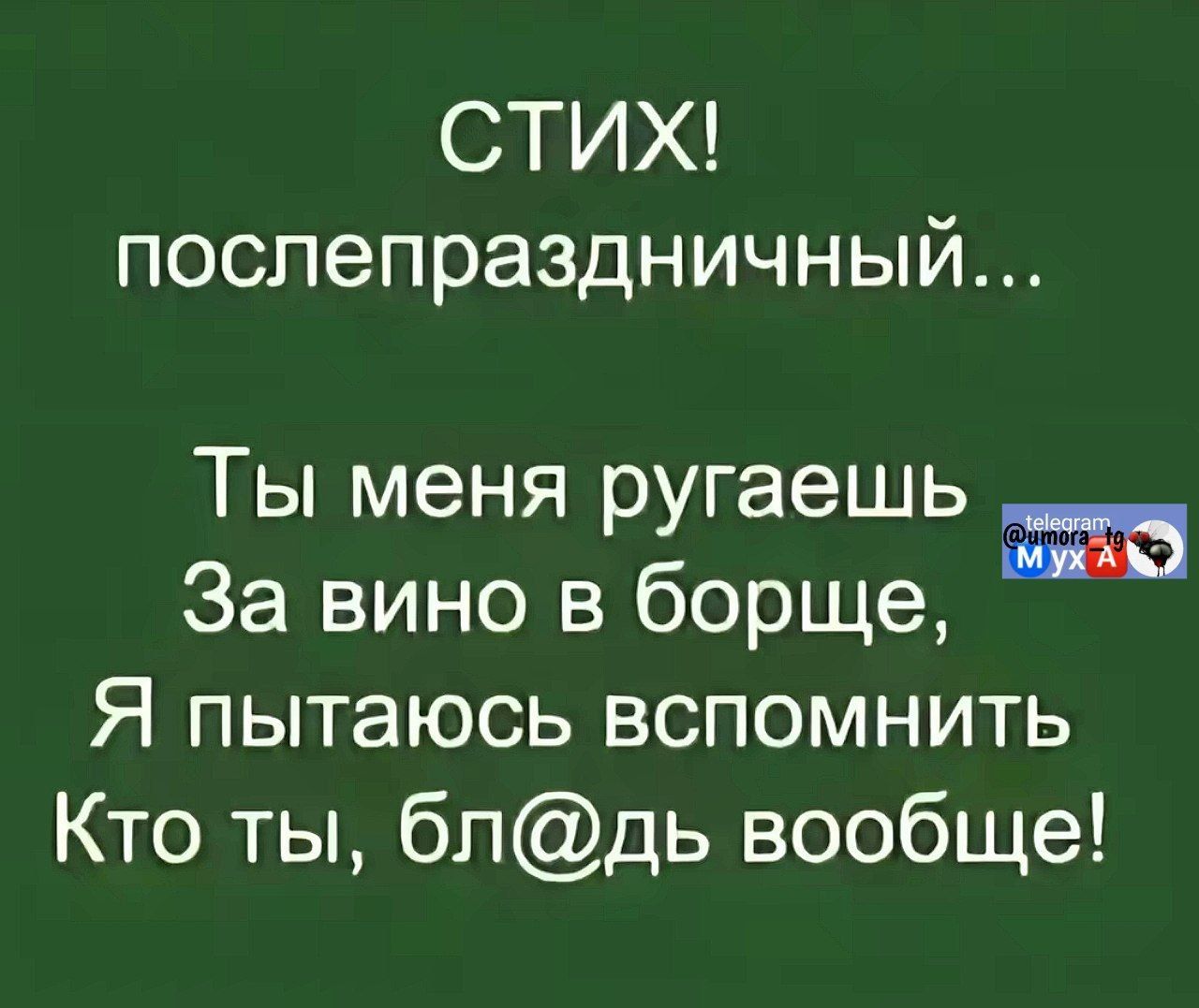 СТИХ послепраздничный Ты меня ругаешь За вино в борще Я пытаюсь вспомнить Кто ты блдь вообще