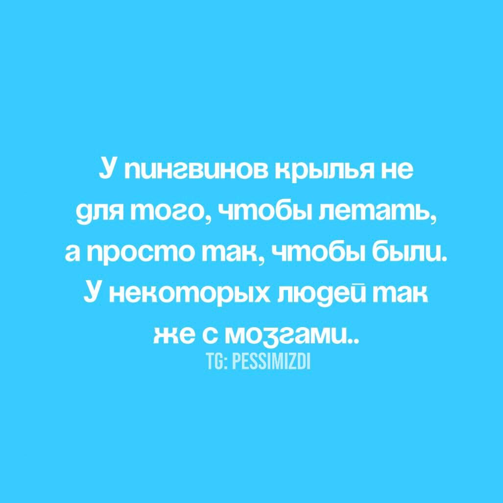 пиневинов крылья не _ и щ 2 Ма таы